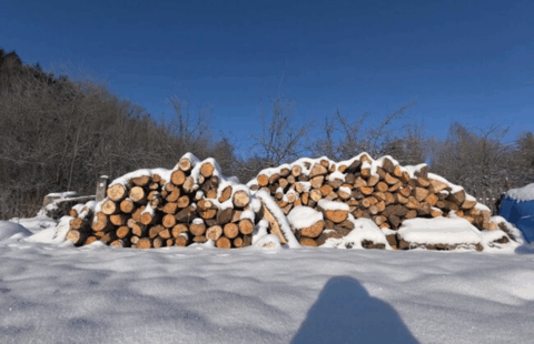 2024 06 19 102513486